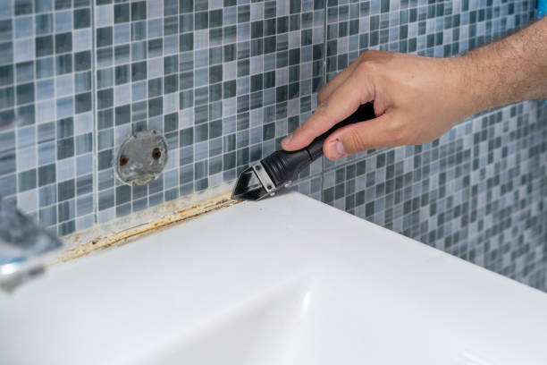 Best Office Mold Removal Services  in Morton Grove, IL