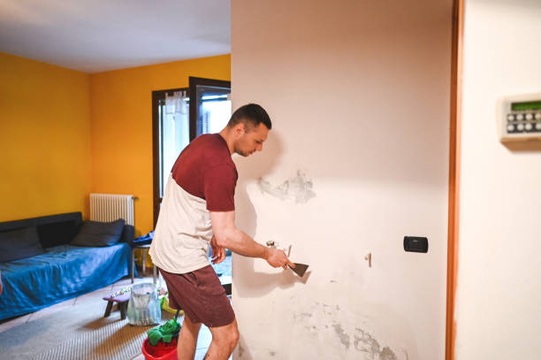 Best Mold Cleaning Services  in Morton Grove, IL